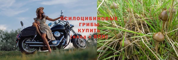 эйфоретик Абинск