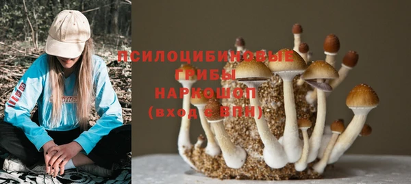 эйфоретик Абинск