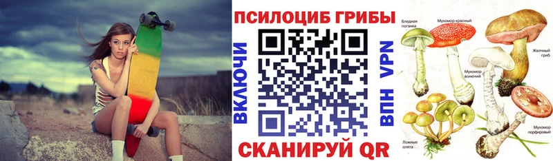 Псилоцибиновые грибы прущие грибы где купить наркоту Берёзовка